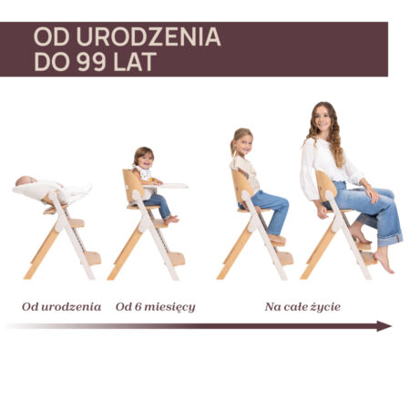 KRZESEŁKO EWOLUCYJNE MERAVIGLIA